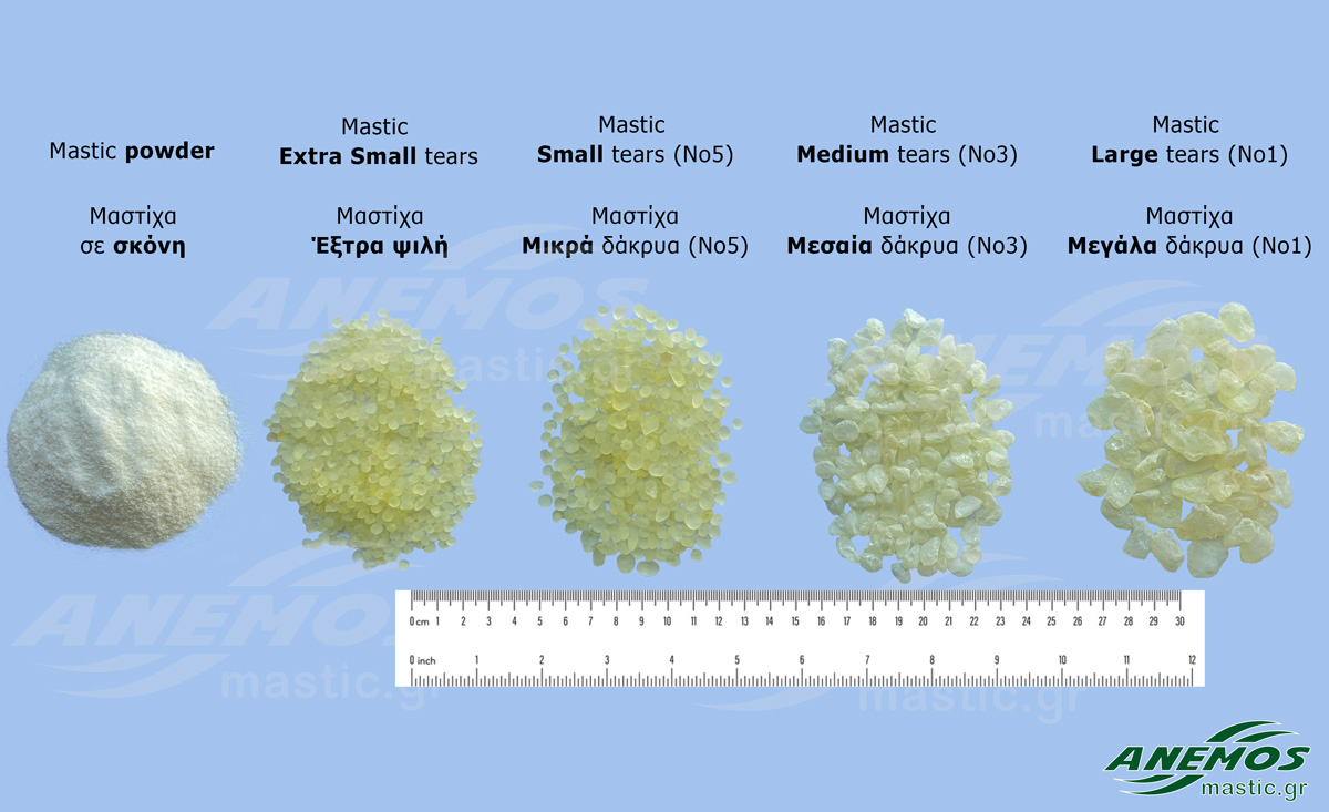 Mastic Size Comparison Mastic Size Comparison